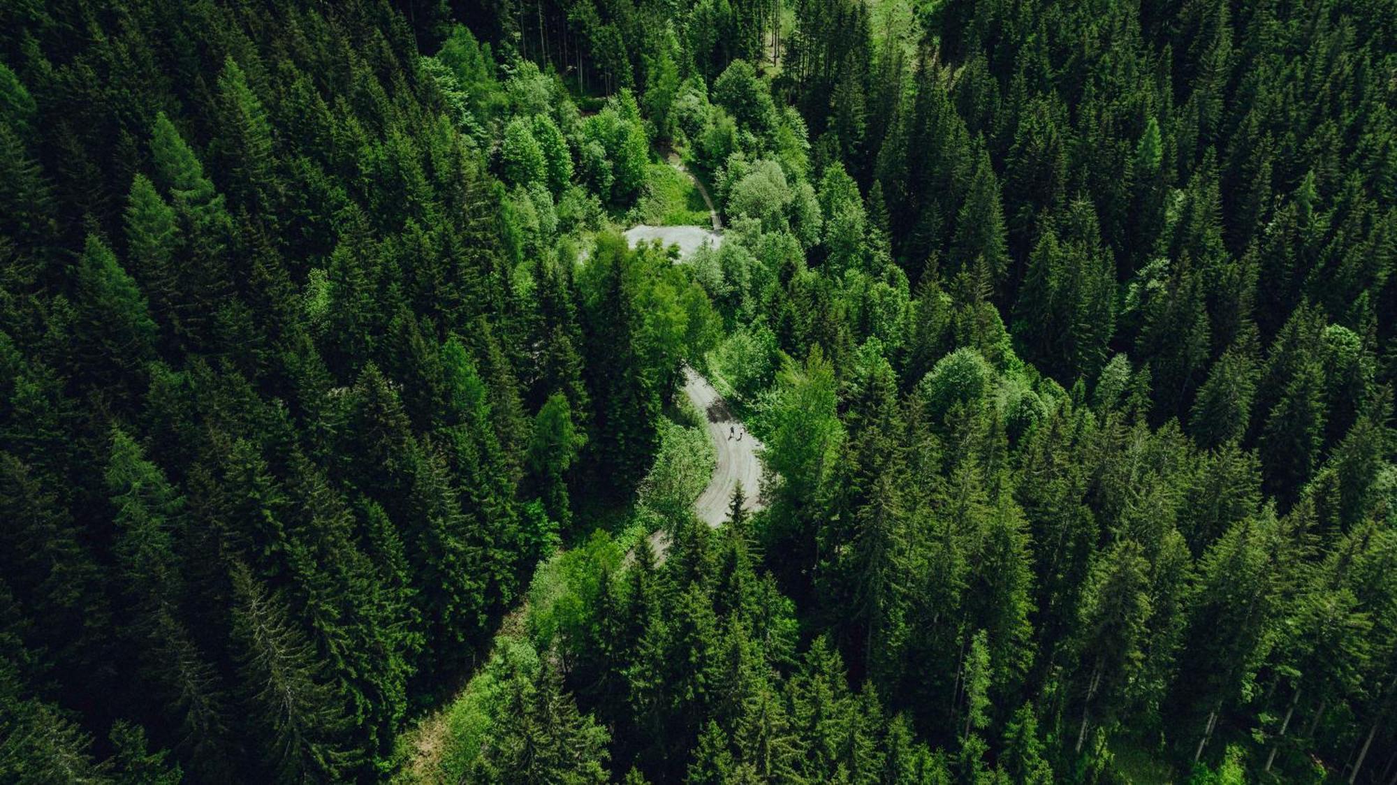 Holzhotel Forsthofalm Leogang Exteriör bild